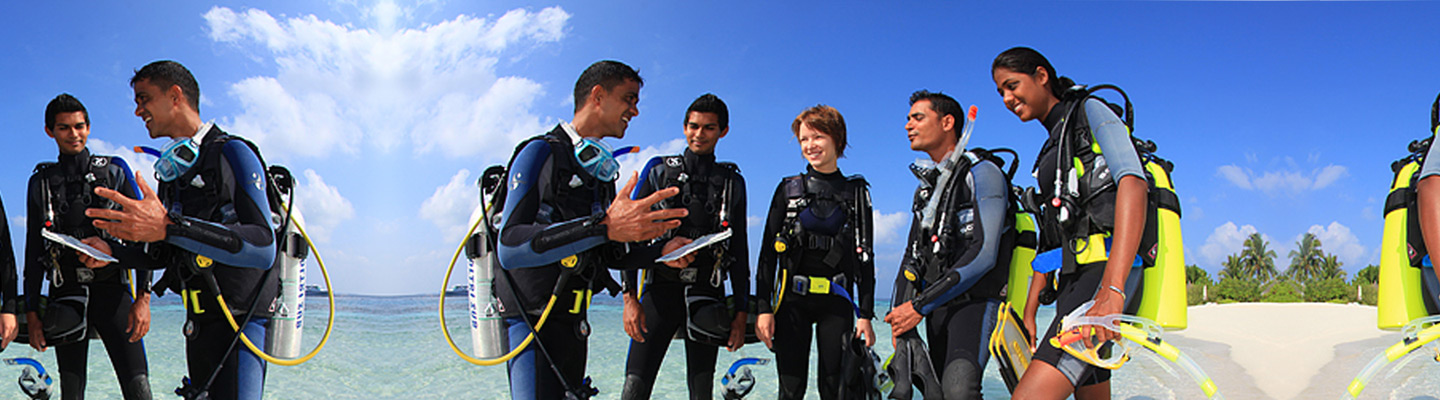 Scuba Diving Internship Programs Key Largo header image