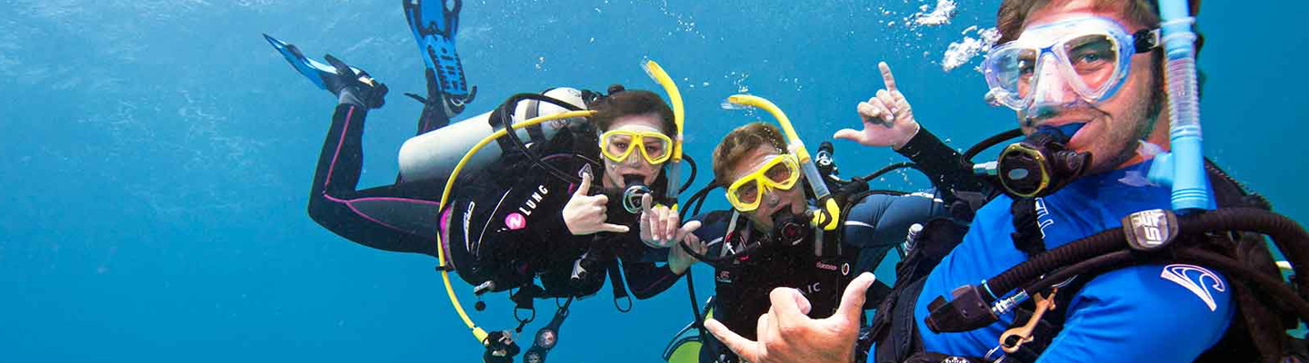 Dive Instructor Job Placement Key Largo header image